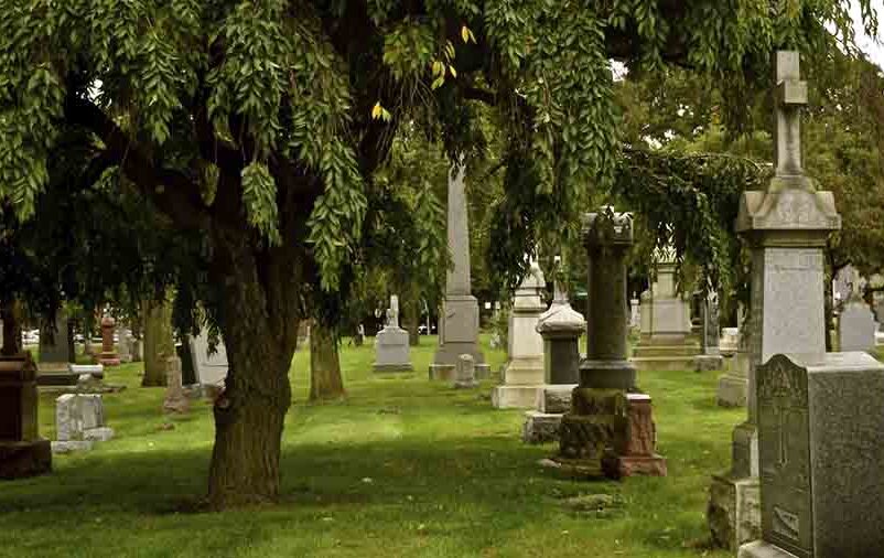 Qual a diferença de cemitério público para particular?