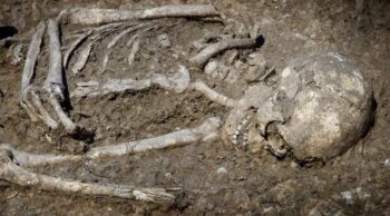 Como a terra preserva a história: a decomposição em diferentes tipos de solo. Esqueleto humano preservado na terra em decomposição em diferentes tipos de solo.